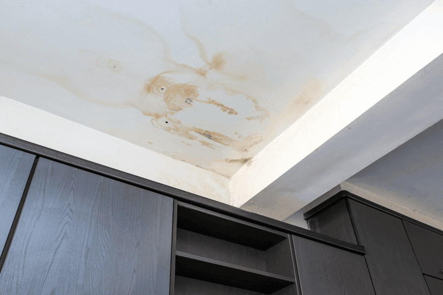 Water damage repair